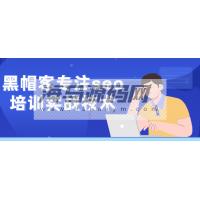 黑帽客专注seo培训实战技术【海马源码网收集】