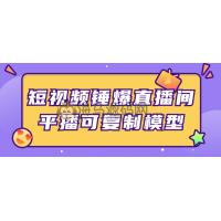 短视频锤爆直播间平播可复制模型