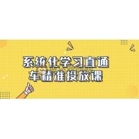 系统化学习直通车精准投放课