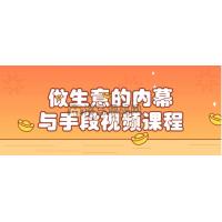 做生意的内幕与手段视频课程