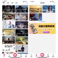 小松鼠短视频完美开源源码 后台+APP端源码