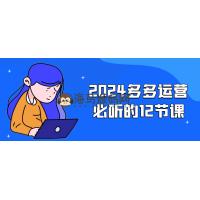 《多多运营必听的12节课：电商成功之道》