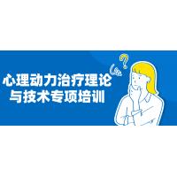 心理动力治疗专业课程：理论与实践技术全解析