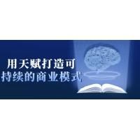 天赋商业模式：打造可持续发展策略