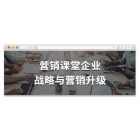 企业营销战略课：品牌升级实战指南