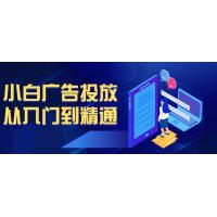 广告投放：小白成长的实战进化课程