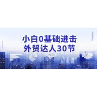 外贸实战：30节从小白到达人的进化课程