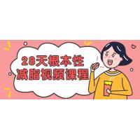 减脂进化：28天根本性身材重塑课程