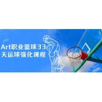 篮球运球：Art职业33天技术进化课程