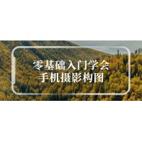 手机摄影入门必学：零基础轻松学会手机摄影构图，拍出惊艳的照片！