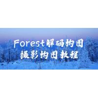 构图解码：Forest教你轻松掌握摄影构图技巧，拍出惊艳的照片！
