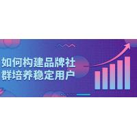 品牌社群营销实战：如何构建品牌社群，培养稳定用户，教你如何建立忠诚的用户社区，提高品牌粘性和转化率，实现长期营销成功