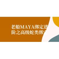 MAYA高级蛇类绑定技巧分享，教你如何实现高级蛇类角色绑定，提高动画制作效率和质量，适合中高级MAYA用户学习和参考。
