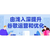 谷歌运营与优化进阶：从入门到精通
