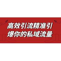 私域流量引流爆炸：高效引流与精准运营的实战策略与技巧大全