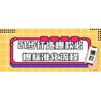 爆款创造标准化流程：21步打造必爆产品的实战指南与运营秘籍