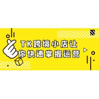 TK跨境电商快速起步：小店运营从零到英雄的实战指南与技巧大全
