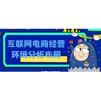 互联网电商市场环境解析与战略规划