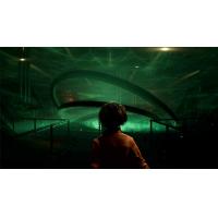 揭开弗兰克·斯通的秘密：影子中的真相