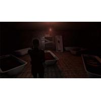 《月光难眠：塞琳娜的黑夜》