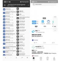 高仿界面方案/高仿奇异社区APP源码